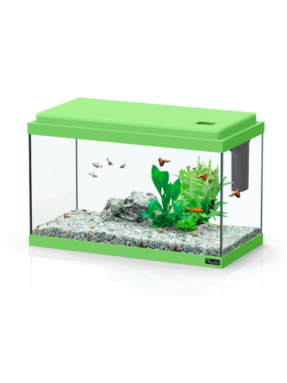 Aquario Funny Fish 50x25x32  Verde 30 L c/ filtro TC200